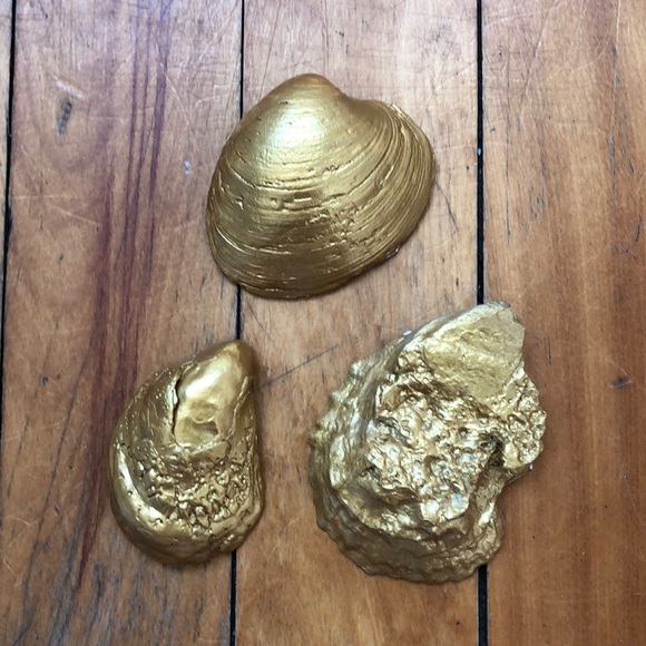 Decorative shell trinket trays🐚💙 - Picture 4 of 13